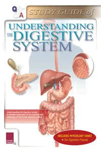 Q Digestive System Study Guide_cover