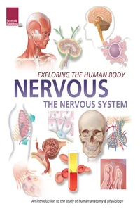 Exploring the Human Body: Nervous System_cover