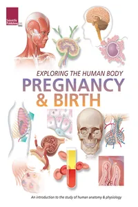 Exploring the Human Body: Pregnancy and Birth_cover