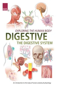 Exploring the Human Body: Digestive System_cover