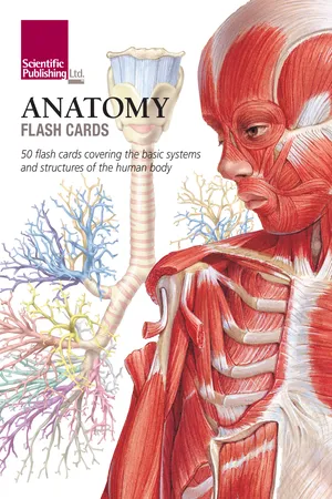 Anatomy Flash Cards