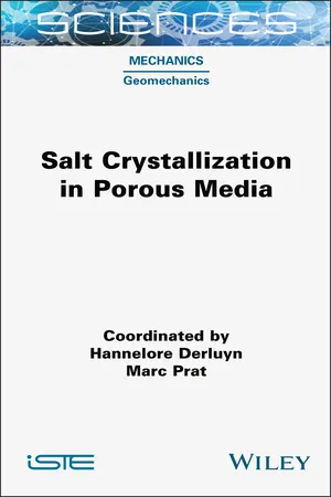 Salt Crystallization in Porous Media