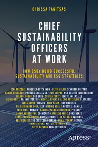 Chief Sustainability Officers At Work_cover