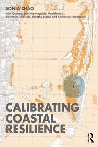 Calibrating Coastal Resilience_cover
