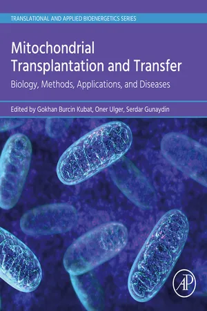 Mitochondrial Transplantation and Transfer