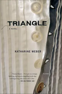 Triangle_cover