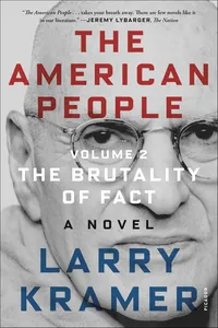 The American People, Volume 2_cover