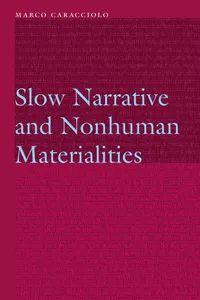 Slow Narrative and Nonhuman Materialities_cover