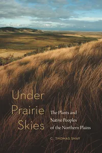 Under Prairie Skies_cover