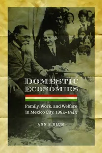 Domestic Economies_cover