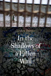 In the Shadows of a Fallen Wall_cover