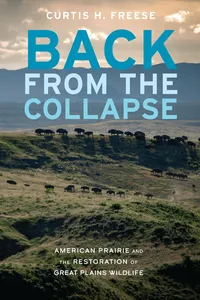 Back from the Collapse_cover