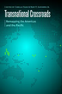 Borderlands and Transcultural Studies_cover