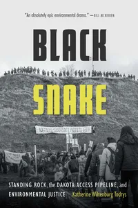 Black Snake_cover