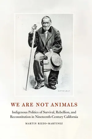 We Are Not Animals