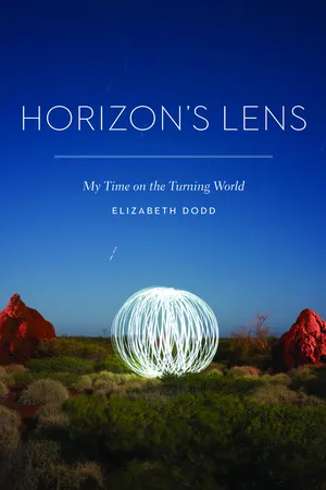 Horizon's Lens