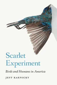 Scarlet Experiment_cover