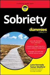 Sobriety For Dummies_cover