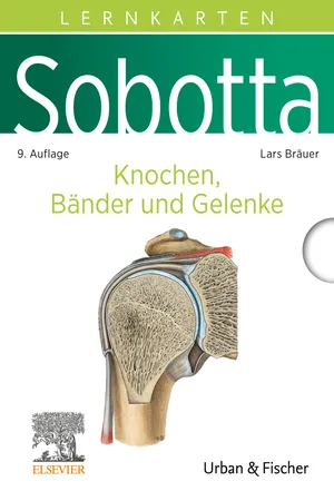 Sobotta Lernkarten Knochen, Bänder und Gelenke