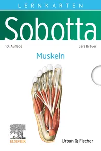 Sobotta Lernkarten Muskeln_cover