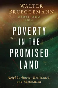 Poverty in the Promised Land_cover