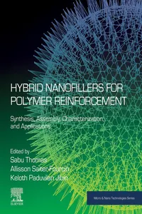 Hybrid Nanofillers for Polymer Reinforcement_cover