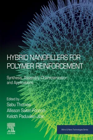 Hybrid Nanofillers for Polymer Reinforcement