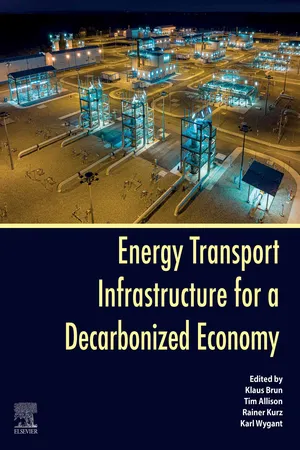 Energy Transport Infrastructure for a Decarbonized Economy