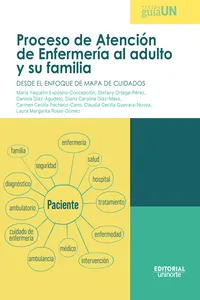 Proceso de Atención de Enfermería al adulto y su familia: desde el enfoque de mapa de cuidados_cover