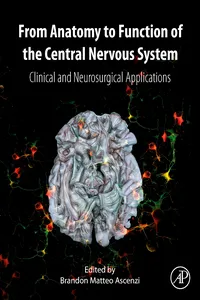 From Anatomy to Function of the Central Nervous System_cover