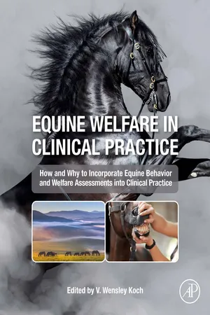 Equine Welfare in Clinical Practice