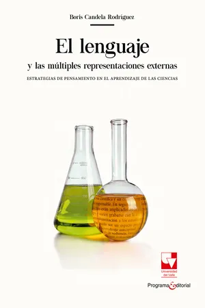 El lenguaje y las múltiples representaciones externas