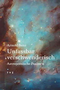 Unfassbar verschwenderisch_cover