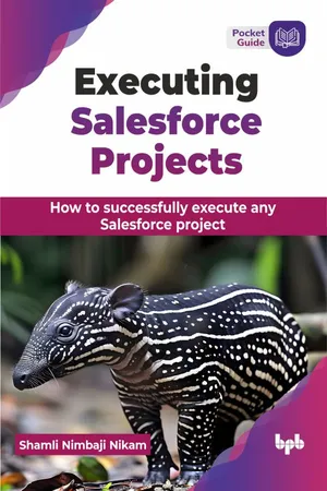 
                        <p>Executing Salesforce Projects</p>
                    