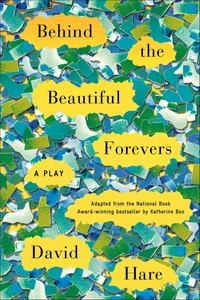 Behind the Beautiful Forevers_cover