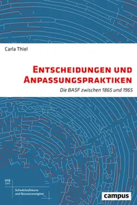 Entscheidungen und Anpassungspraktiken_cover