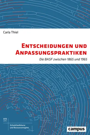 Entscheidungen und Anpassungspraktiken