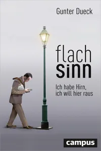 Flachsinn_cover