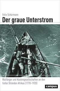 Der graue Unterstrom_cover