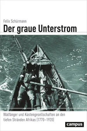 Der graue Unterstrom