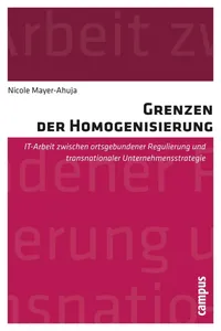 Grenzen der Homogenisierung_cover