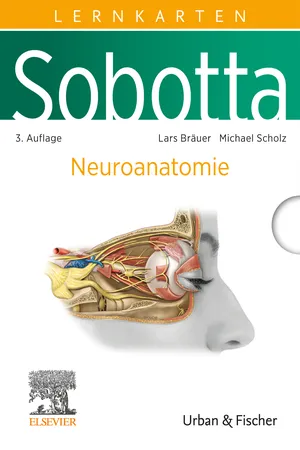 Sobotta Lernkarten Neuroanatomie