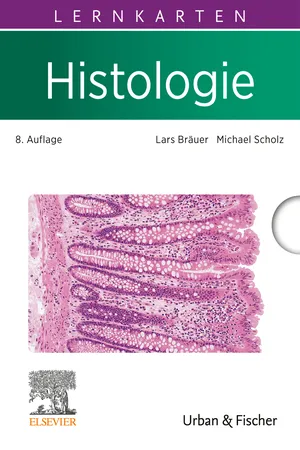 Lernkarten Histologie