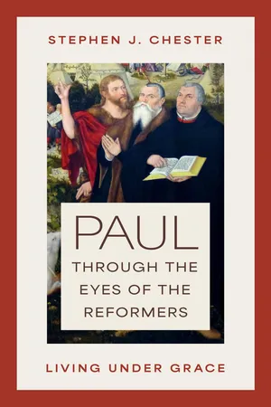 Paul through the Eyes of the Reformers
