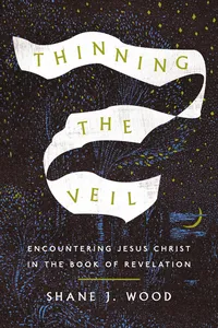Thinning the Veil_cover