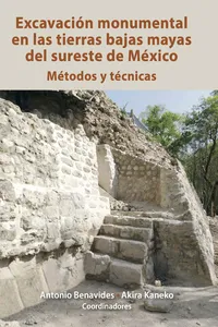 Excavación monumental en las tierras bajas mayas del sureste de México_cover