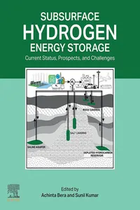 Subsurface Hydrogen Energy Storage_cover