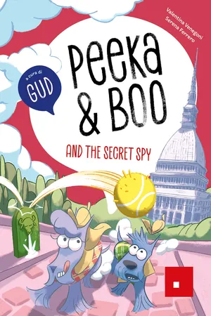 Peeka & Boo and the secret spy