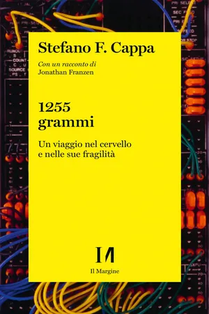1255 grammi
