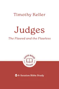 Judges: The Flawed and the Flawless_cover